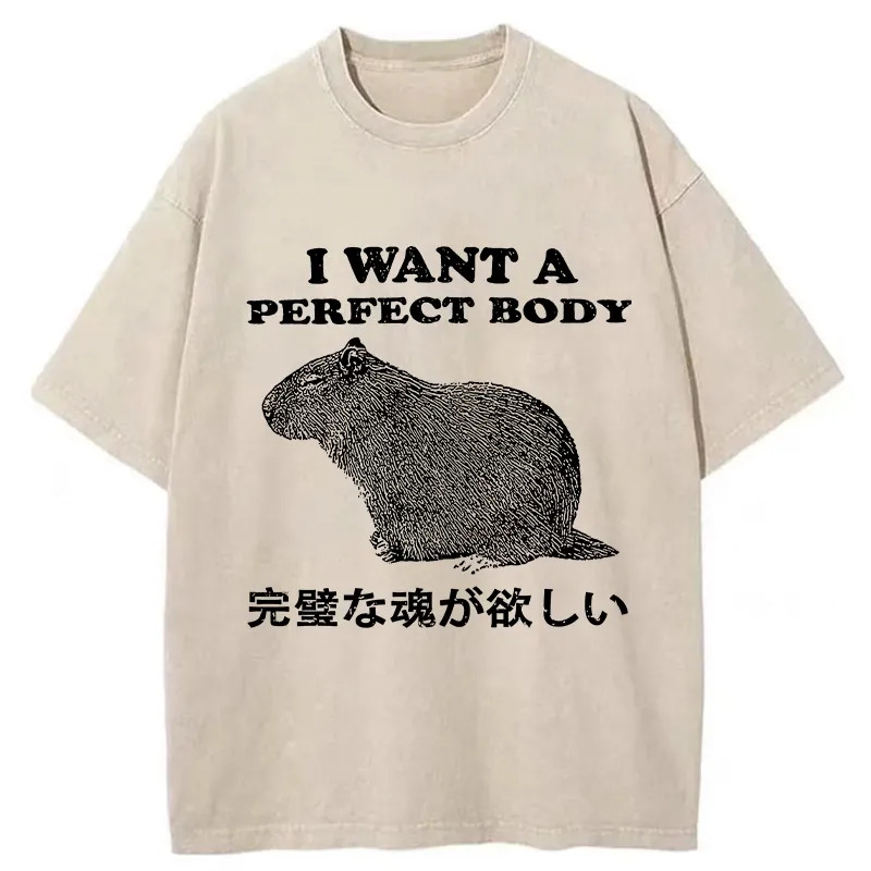 I Want A Perfect Body Washed T-Shirt Trendy Everyday Casual Outfit Gifts For Friends