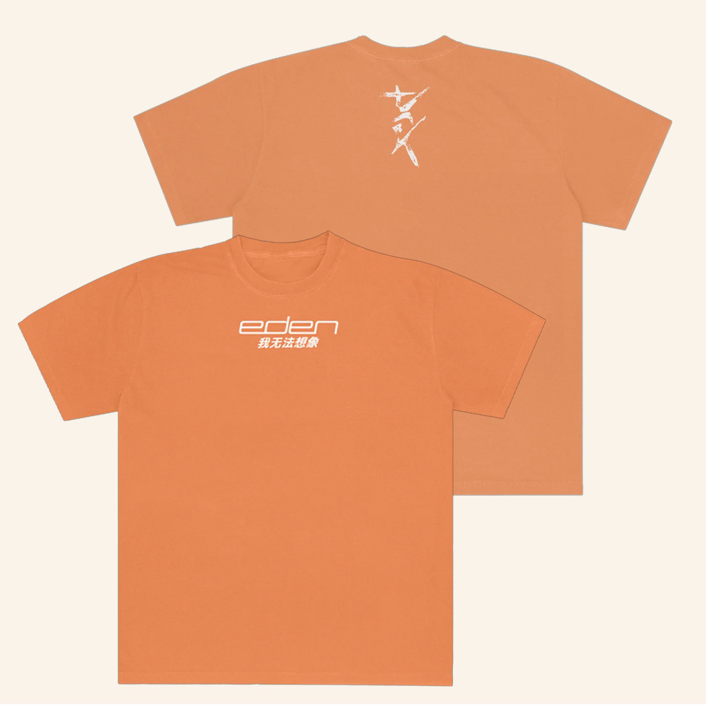 Iameden Merch I Can't Imagine T-Shirt EDEN Merch Husband Christmas Gift Ideas