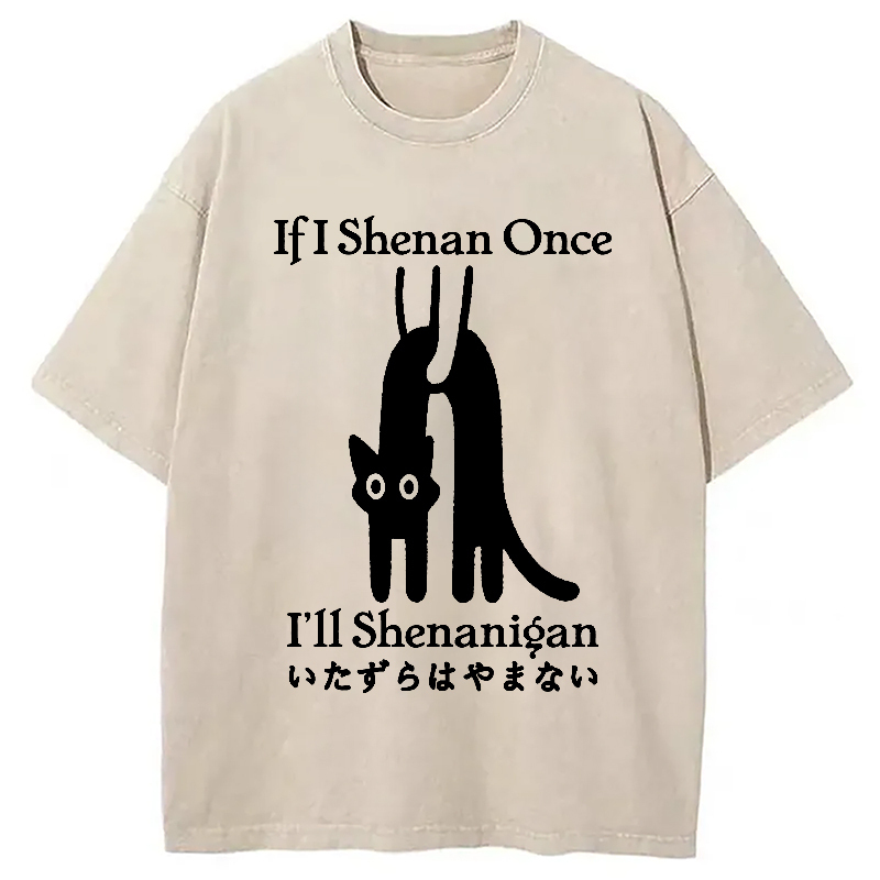 If I Shenan Once I'll Shenanigan Washed T-Shirt Everyday Comfort Graphic Shirt Gifts For BFF
