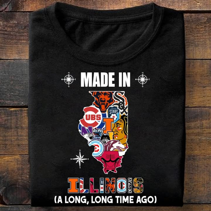 Illinois City Sport Teams T-Shirt Made In Detroit A Long Long Time Ago Gifts For Fans