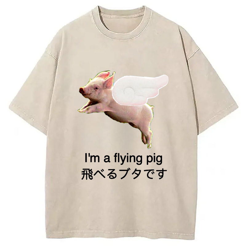 I'm A Flying Pig Meme Washed T-Shirt Classic Graphic Fashion Tee Gifts For Him