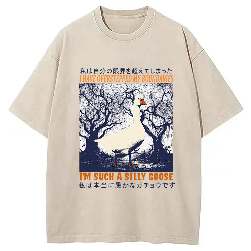 I'm Such a Silly Goose Funny Vintage Washed T-Shirt Retro Humor Outfit Idea Gifts For Brother