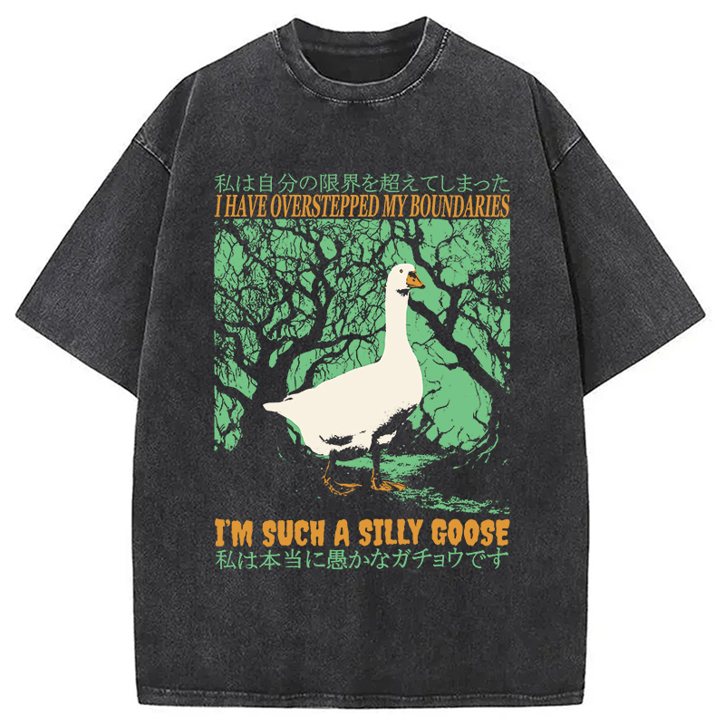 I'm Such a Silly Goose Washed T-Shirt Everyday Comfort Graphic Shirt Gifts For Besties I'm Such a Silly Goose Washed T-Shirt Everyday Comfort Graphic Shirt Gifts For Besties