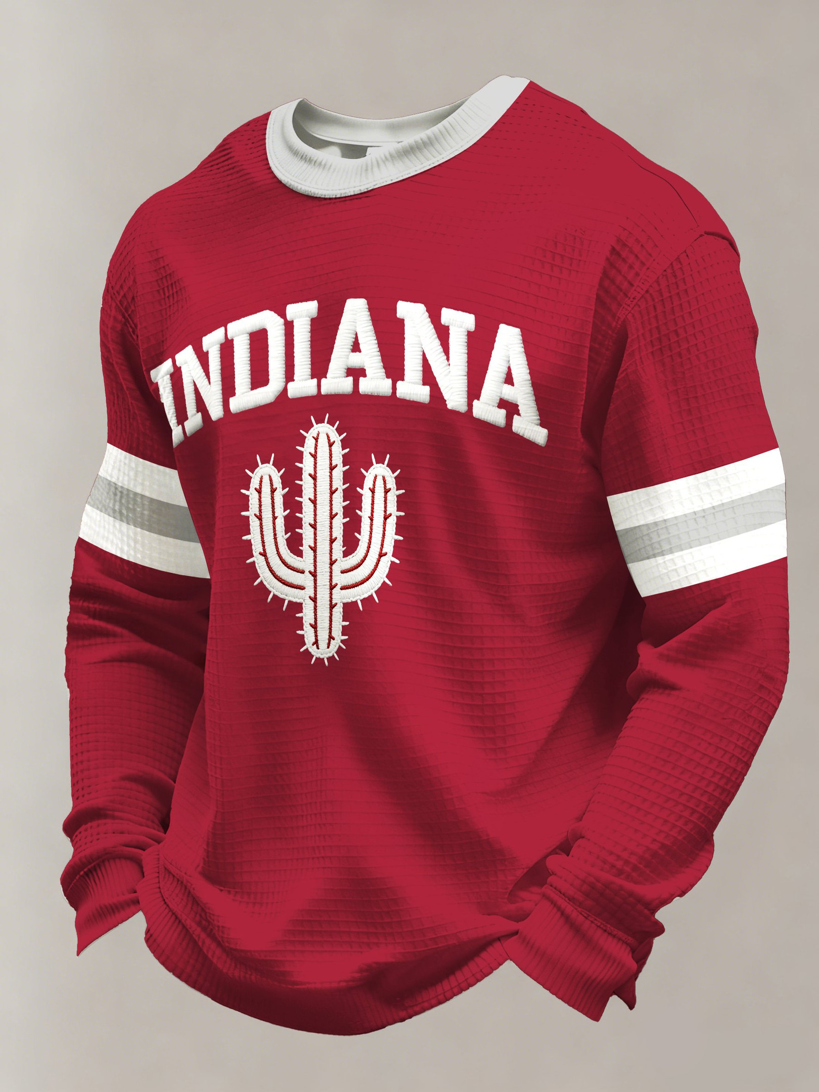 Indiana Cactus Art Indiana Hoosiers Long Sleeve Shirt Game Day Merch Football Gear