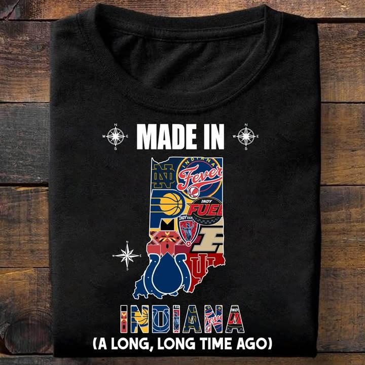 Indiana City Sport Teams T-Shirt Made In Detroit A Long Long Time Ago Gifts For Fans