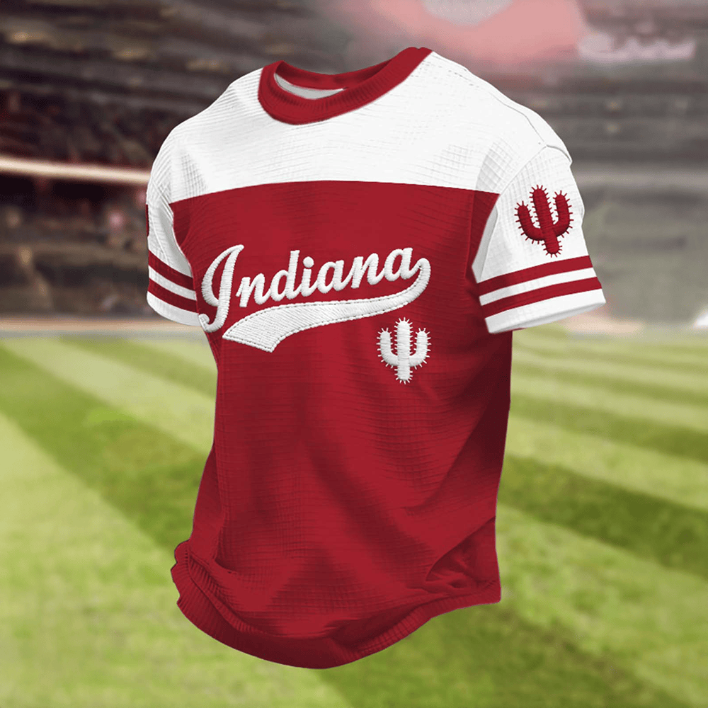 Indiana Hoosiers Cactus Art Football T-Shirt Indiana Hoosiers Clothes Gift For Husband