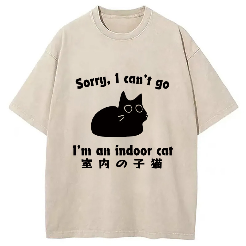 Indoor Kitten Washed T-Shirt Funny Aesthetic Trendy Apparel Gifts For Besties