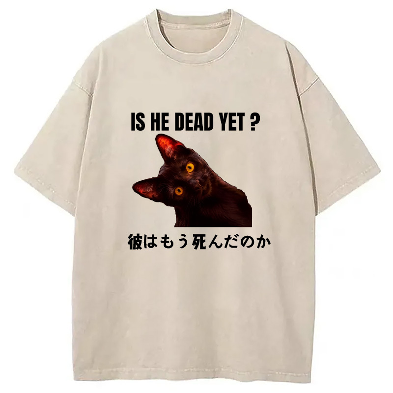 Is He Dead Yet Washed T-Shirt Retro Humor Outfit Idea Gifts For Him