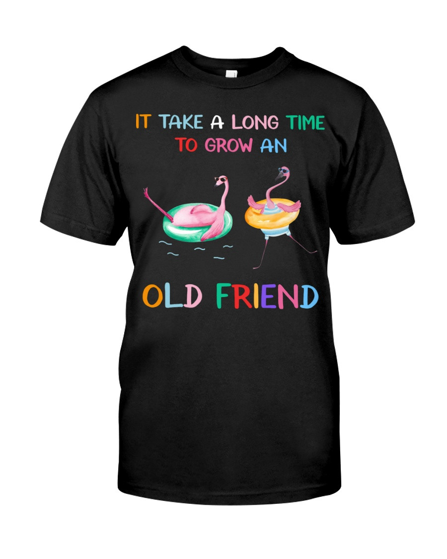 It Take A Long Time To Grow An OLD FRIEND Classic T-Shirt Gift For Best Friends