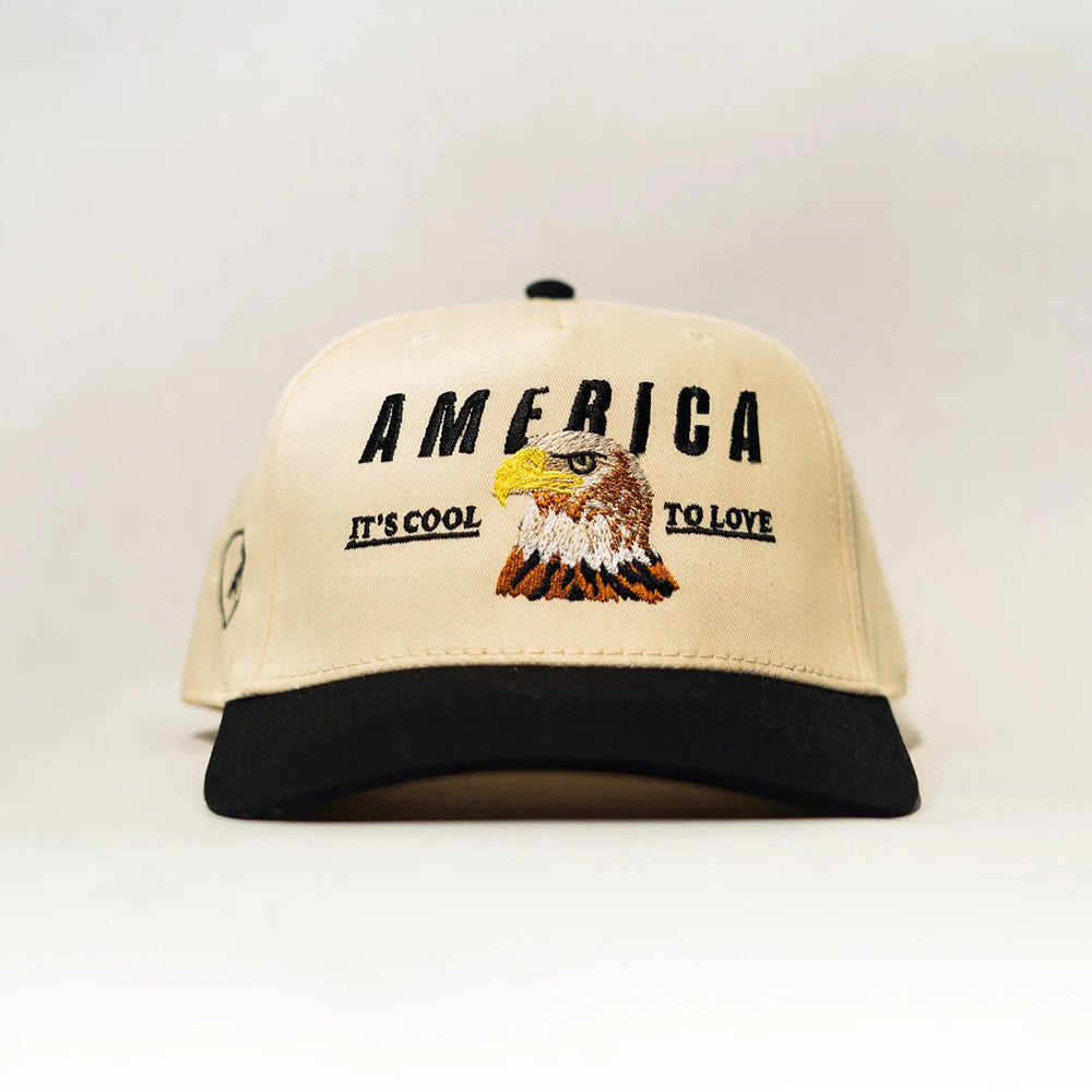 It's Cool To Love America Hat Bald Eagle Patriotic Cap Great Gifts For Dad