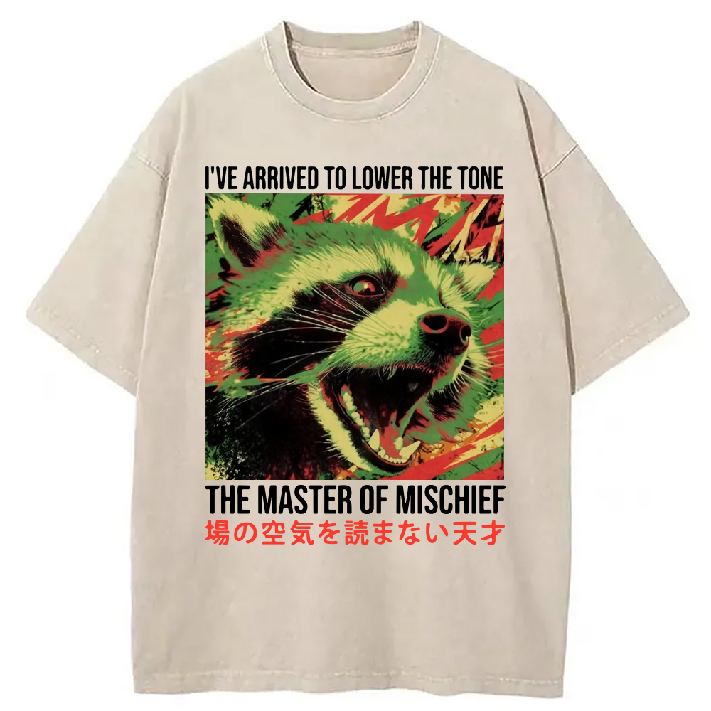 I've Arrived To Lower The Tone Washed T-Shirt Trendy Everyday Casual Outfit Gifts For Friends I've Arrived To Lower The Tone Washed T-Shirt Trendy Everyday Casual Outfit Gifts For Friends