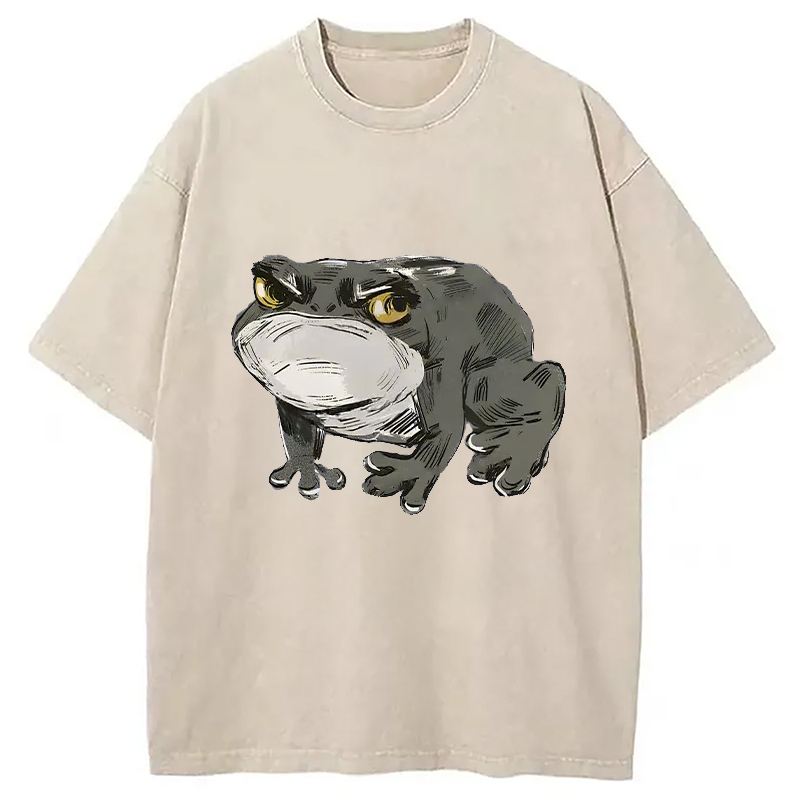 Japanese Frog Retro Washed T-Shirt Unisex Streetwear Graphic Style Gifts For Sister