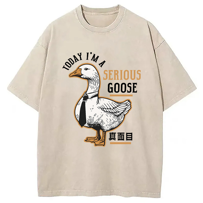 Japanese Serious Goose Washed T-Shirt Trendy Aesthetic Graphic Apparel Gifts For Besties