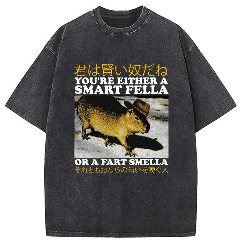 Japanese Smart Fella Capybara Washed T-Shirt Everyday Comfort Graphic Shirt Gifts For Her