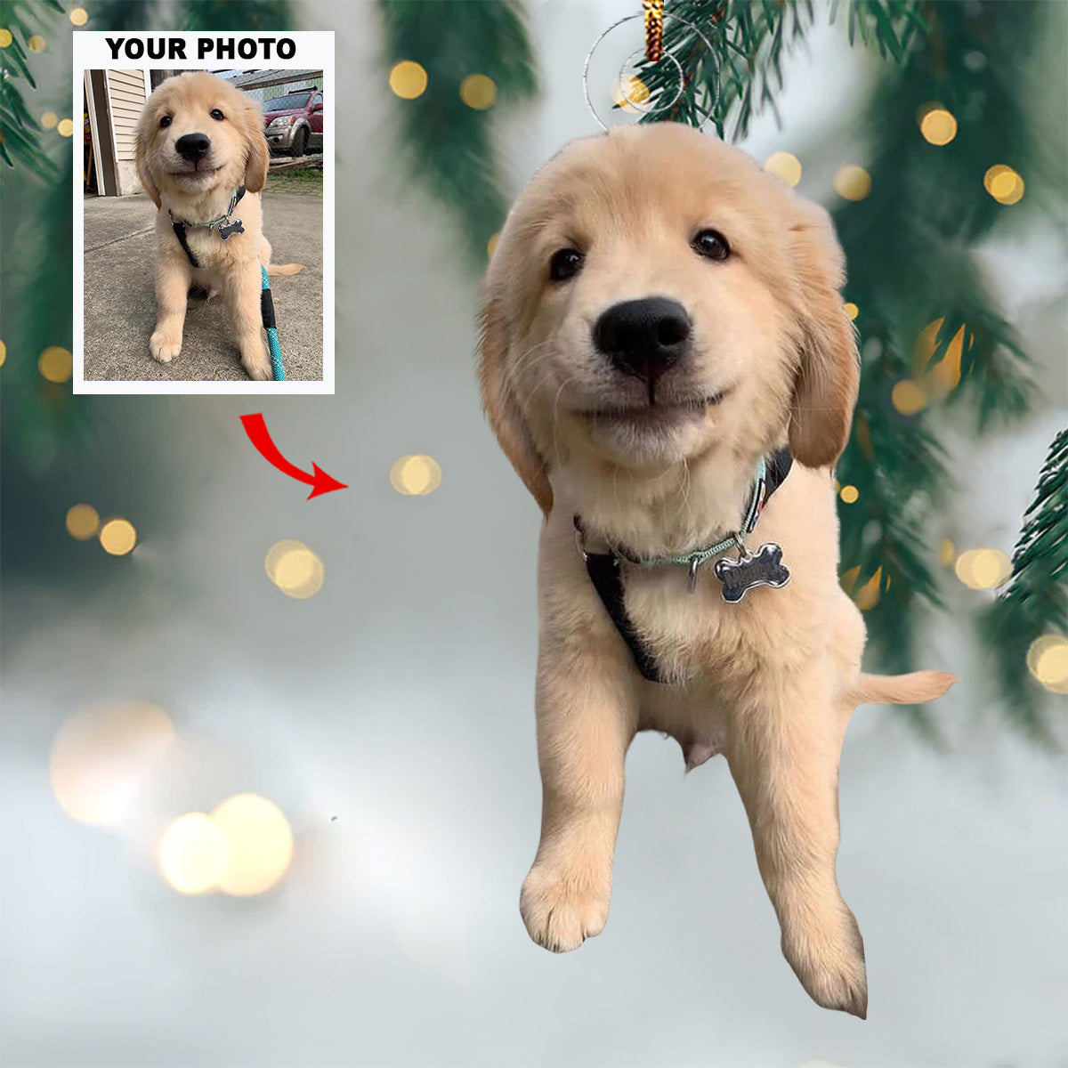 Jingle Paws Personalized Photo Mica Ornament Gift For Pet Lovers Pet Owners Family members