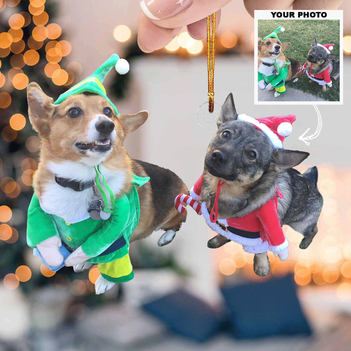 Jolly Paws Personalized Photo Mica Ornament Gift For Pet Lovers Pet Owners Family members