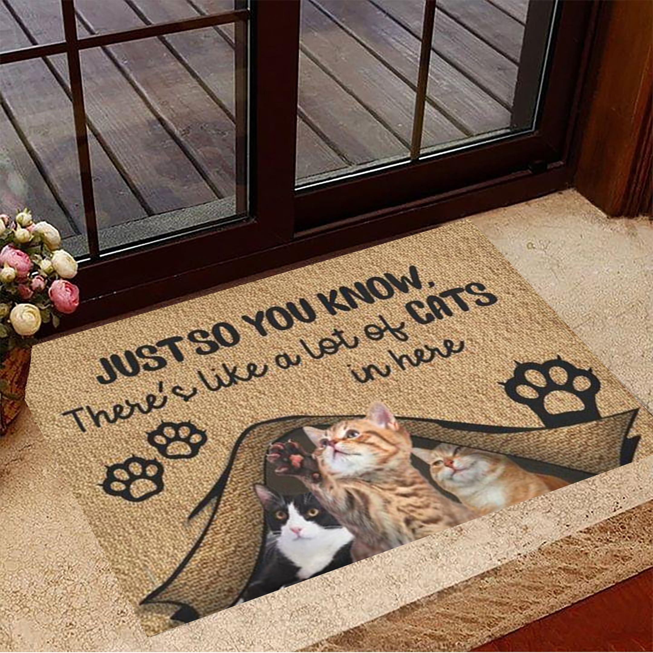 Just So You Know There's Like A Lot Of Cats In Here Doormat Indoor Door Mats Cute Cat Gifts