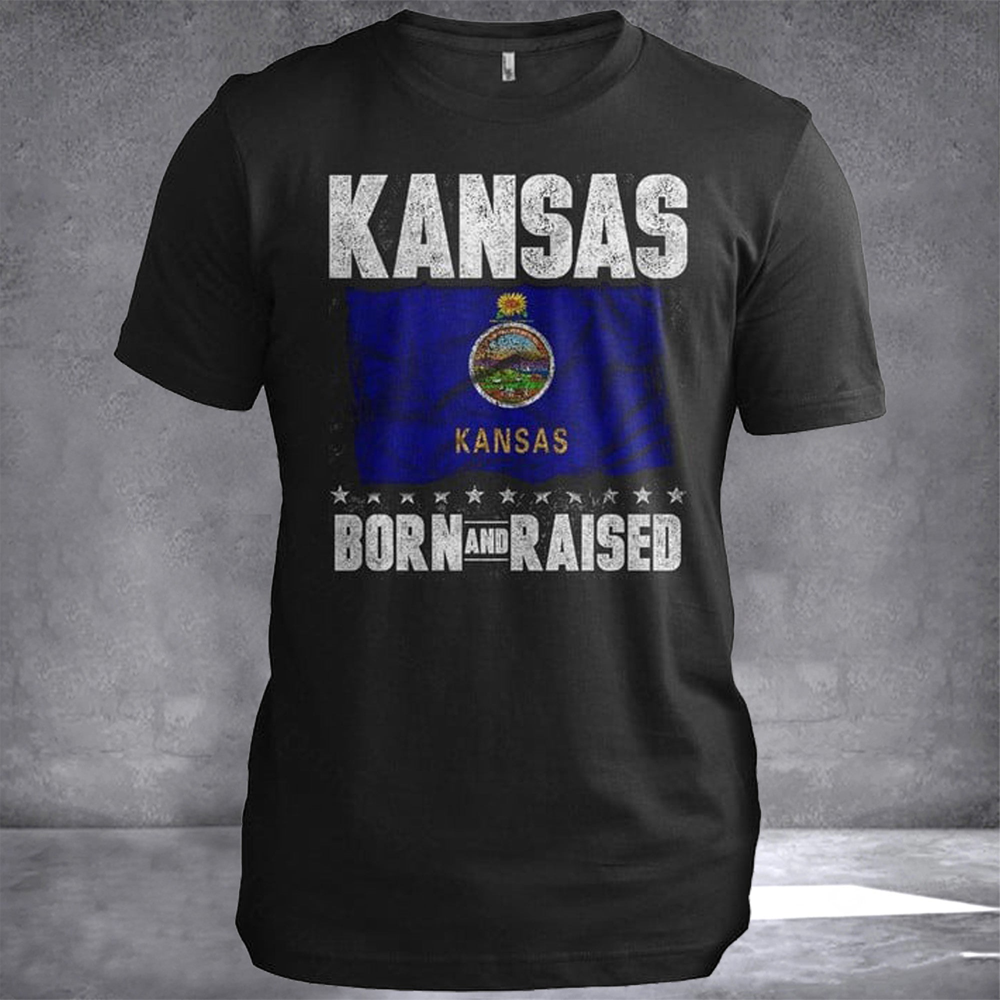 Kansas Born And Raised Kansas T-Shirt Patriotic Graphic Tees Gifts For Stepson Kansas Born And Raised Kansas T-Shirt Patriotic Graphic Tees Gifts For Stepson