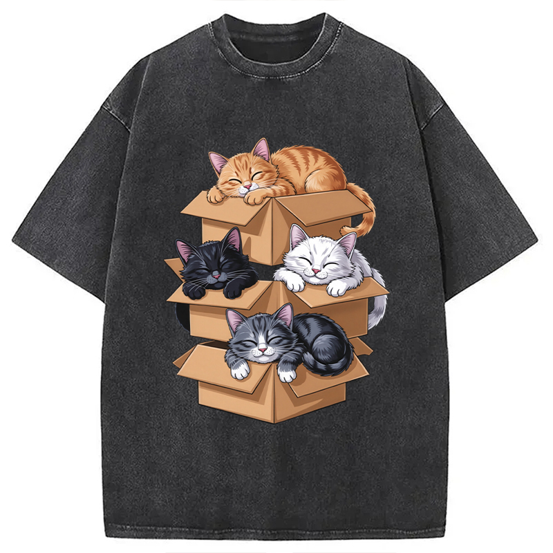 Kawaii Cardboard Cat Washed T-Shirt Funny Quote Unisex Shirt Gifts For BFF
