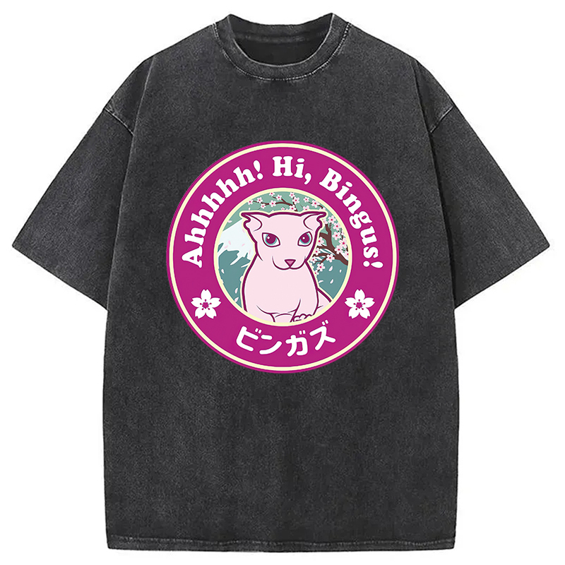 Kawaii Hi Bingus Washed T-Shirt Funny Quote Unisex Shirt Gifts For BFF