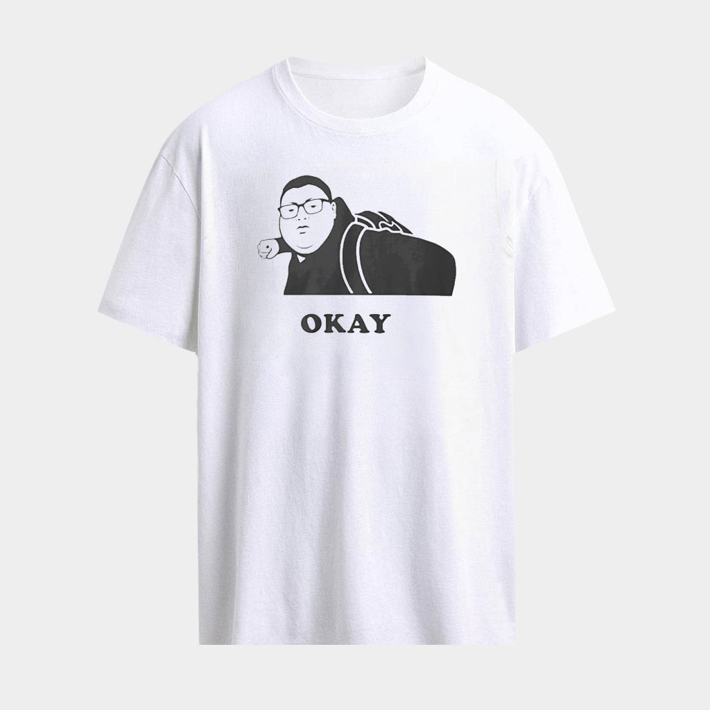 Kid Punches A Nazi I Love ICE Shirt Okay Punch T-Shirt Political Gifts