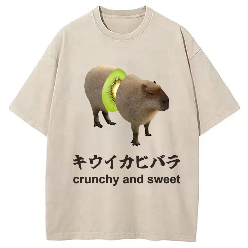 Kiwi Capybara Funny Meme Washed T-Shirt Trendy Aesthetic Graphic Apparel Gifts For Besties