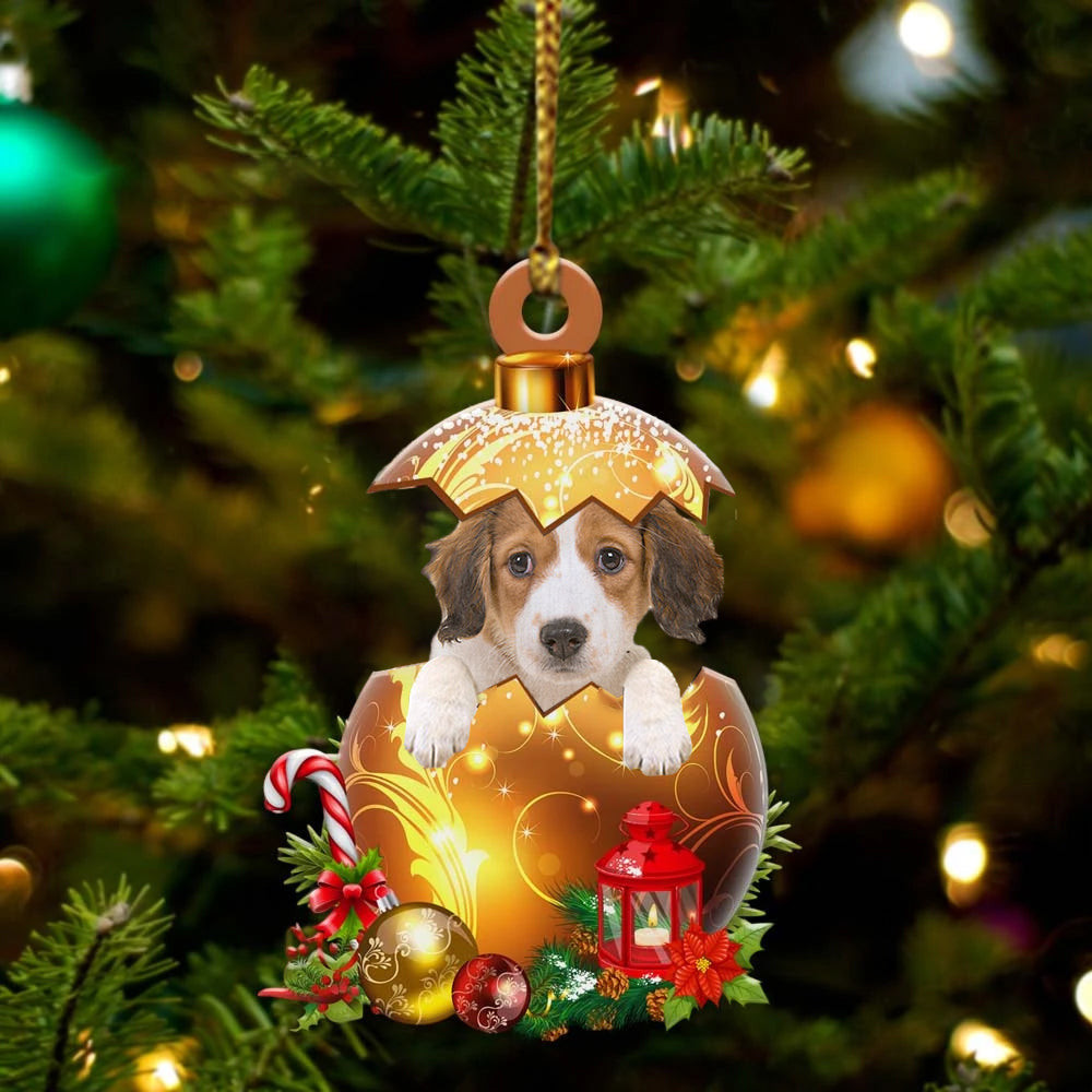 Kooikerhondje In in Golden Egg Christmas Ornament Flat Acrylic Dog Ornament