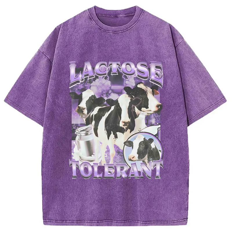 Lactose Tolerant Cow Washed T-Shirt Everyday Comfort Graphic Shirt Gifts For Sister