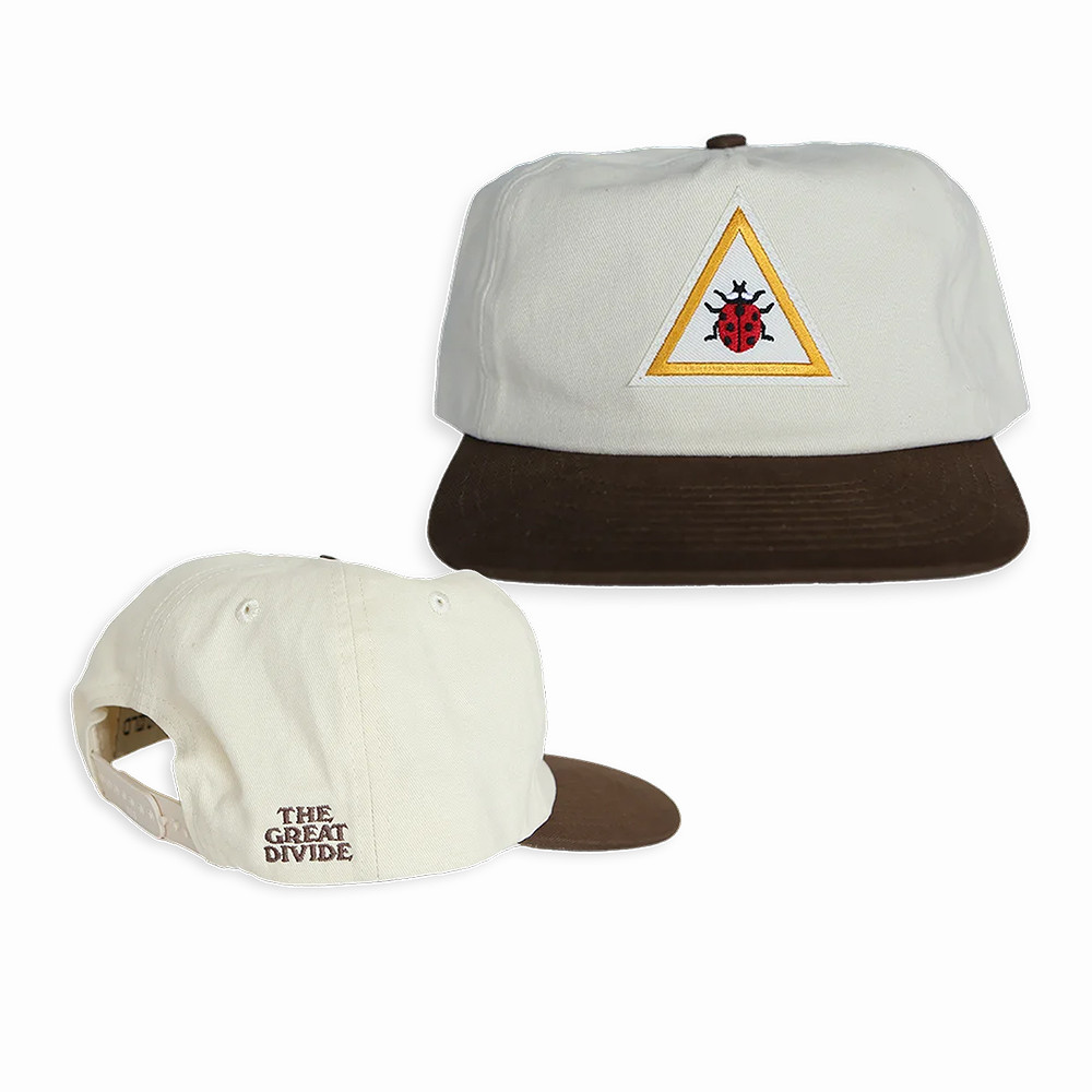 Ladybug Noah Kahan Snapback Hat The Great Devide Noah Kahan Merch Cool Gift For Fans
