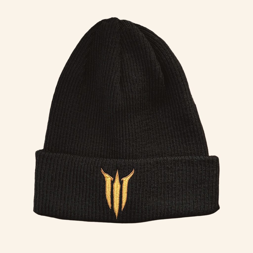 Larian Merch Baldur's Gate 3 Logo Beanie Top Christmas Gifts For Brother