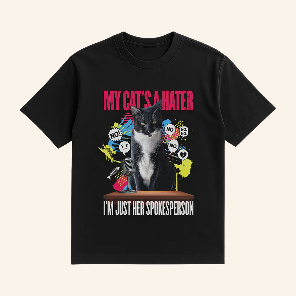 Layze Merch Stormy's Spokesperson Shirt Cat I'm Just Her Spokesperson T-Shirt Gifts For Her