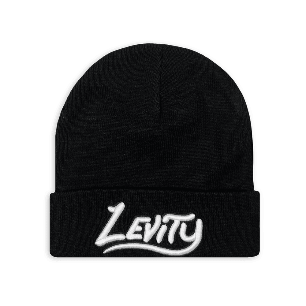 Levity Merch 2555 Levity Beanie Father's Day Gifts For Husband