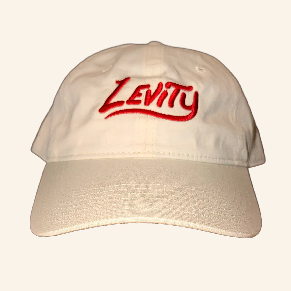 Levity Merch Levity Logo Embroidered Hat Unique Gift For Boyfriend Levity Merch Levity Logo Embroidered Hat Unique Gift For Boyfriend