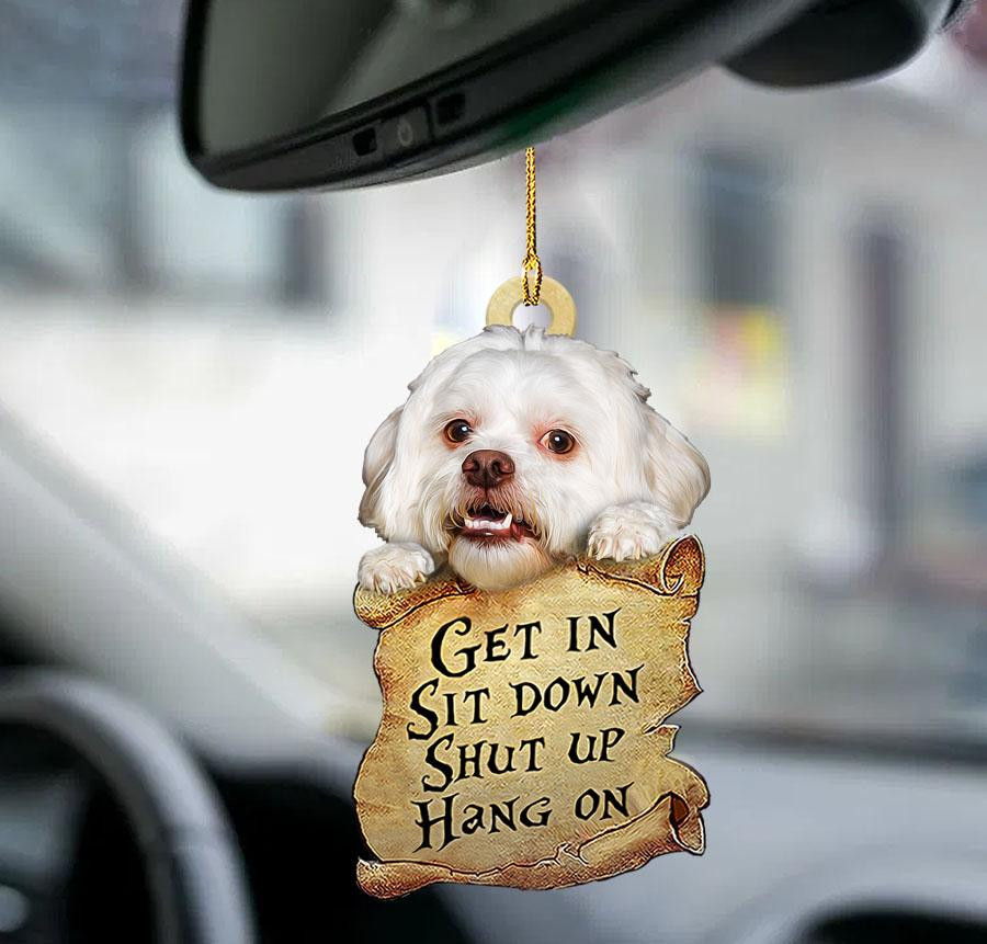 Lhasa Apso get in two sided ornament car hanging ornaments