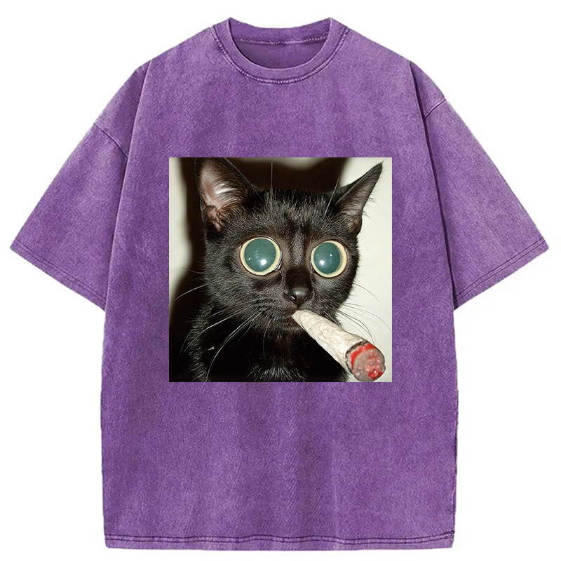 Little Kitten Funny Smoking Washed T-Shirt Funny Graphic Gift For Friends Gifts For Sister