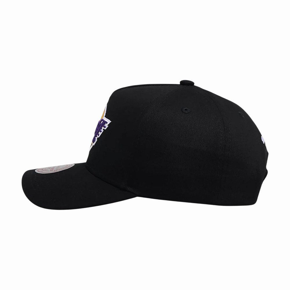 Los Angeles Lakers Basketball Hat Game Day Merch Los Angeles Lakers Gear For Brother