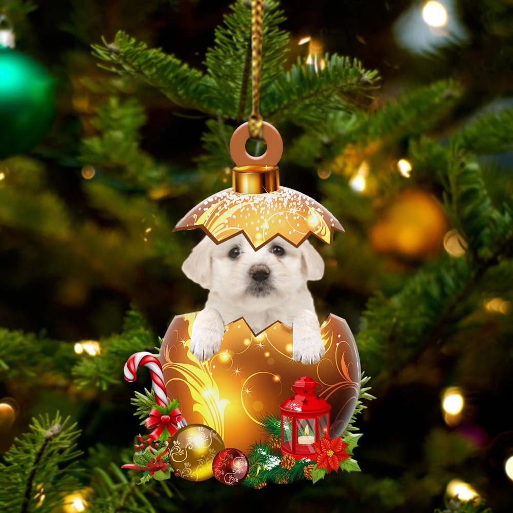 Maltese2 In in Golden Egg Christmas Ornament Flat Acrylic Dog Ornament