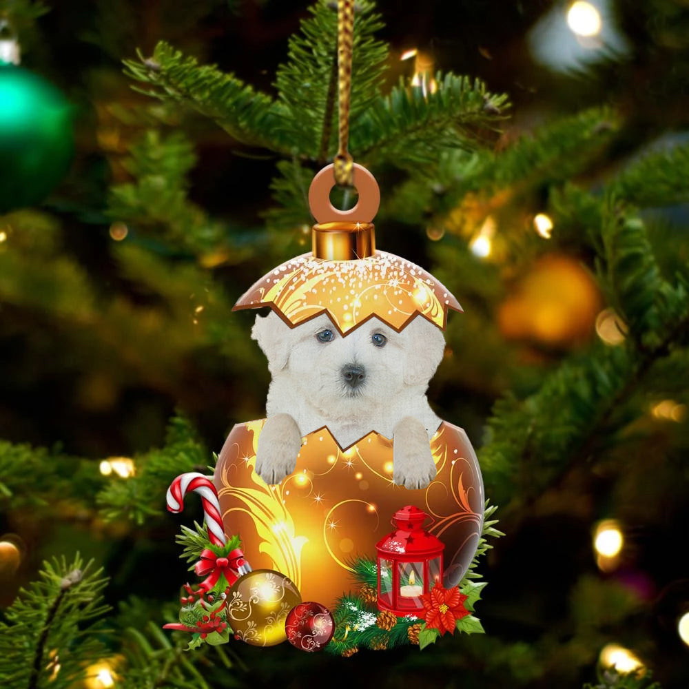 Maltipoo In in Golden Egg Christmas Ornament Flat Acrylic Dog Ornament