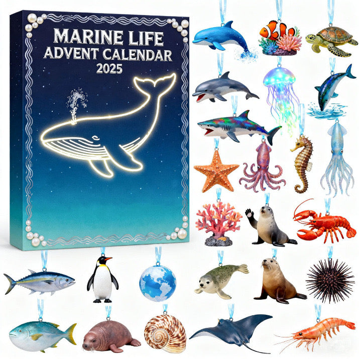 Marine Life Advent Calendar 2025 Animal Themed Xmas Advent Calendar Christmas Gifts
