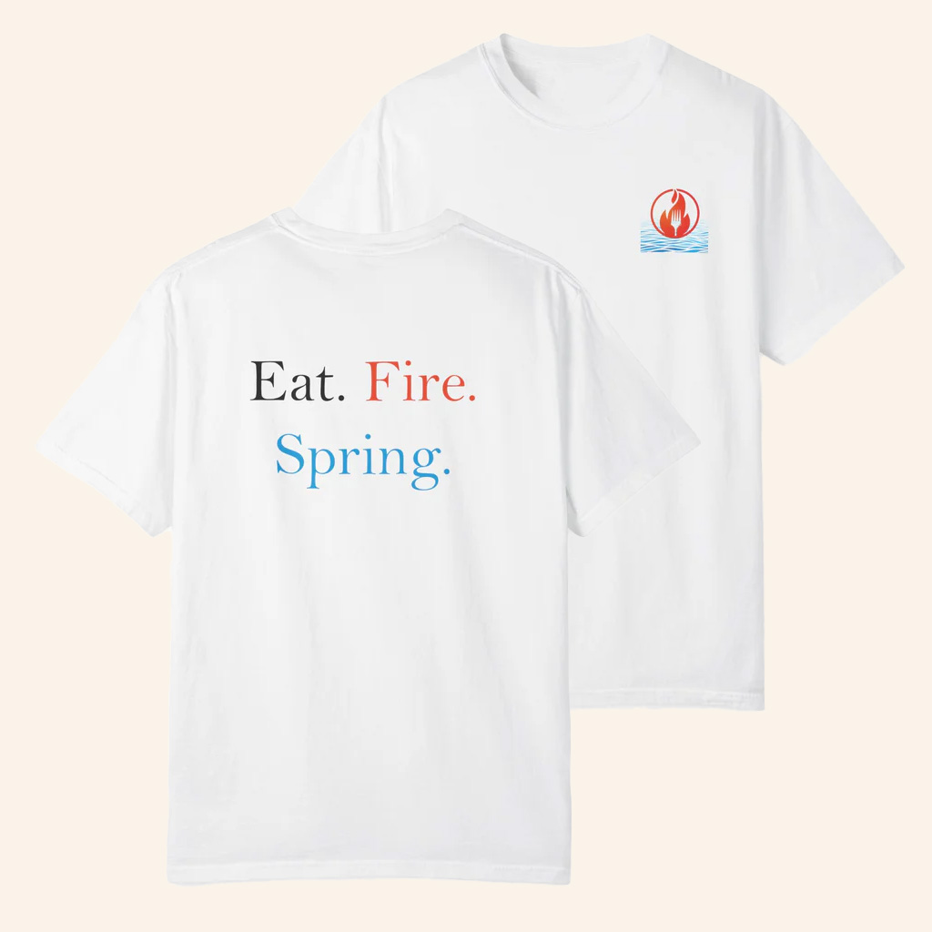 Merlin Classics Merch Eat Fire Spring T-Shirt Birthday Ideas For Husband
