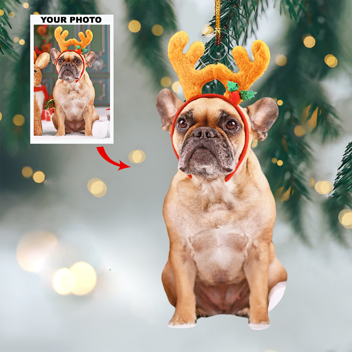 Merry Mascots Personalized Photo Mica Ornament Christmas Gift For Pet Lovers Pet Owner