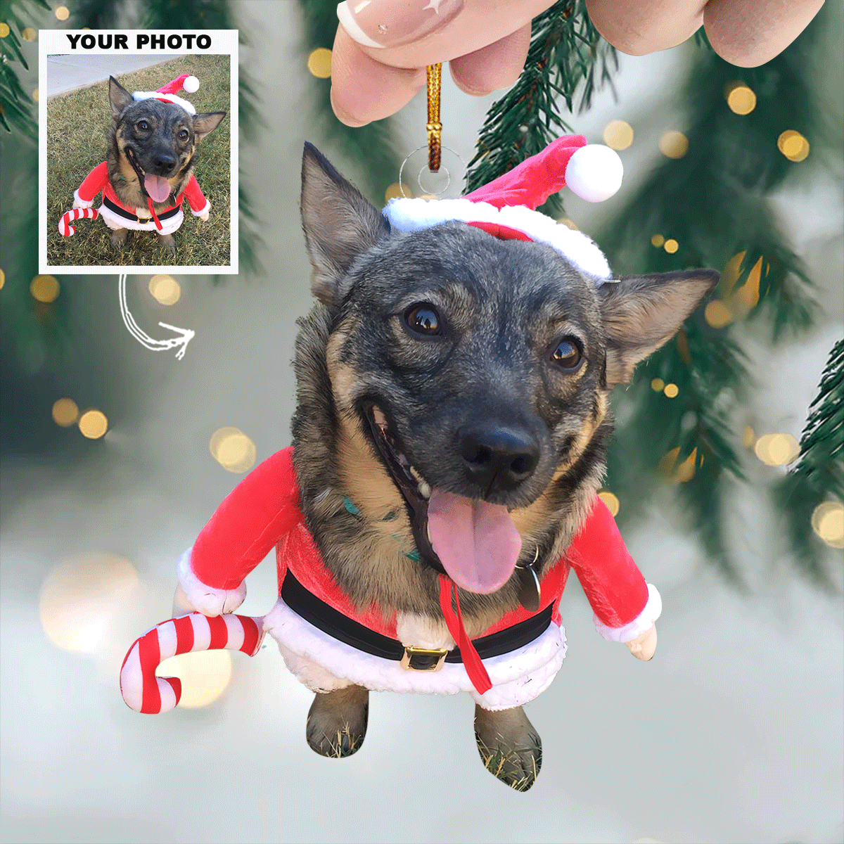 Mistletoe Mutt Personalized Photo Mica Ornament Gift For Pet Lovers Pet Owners Family