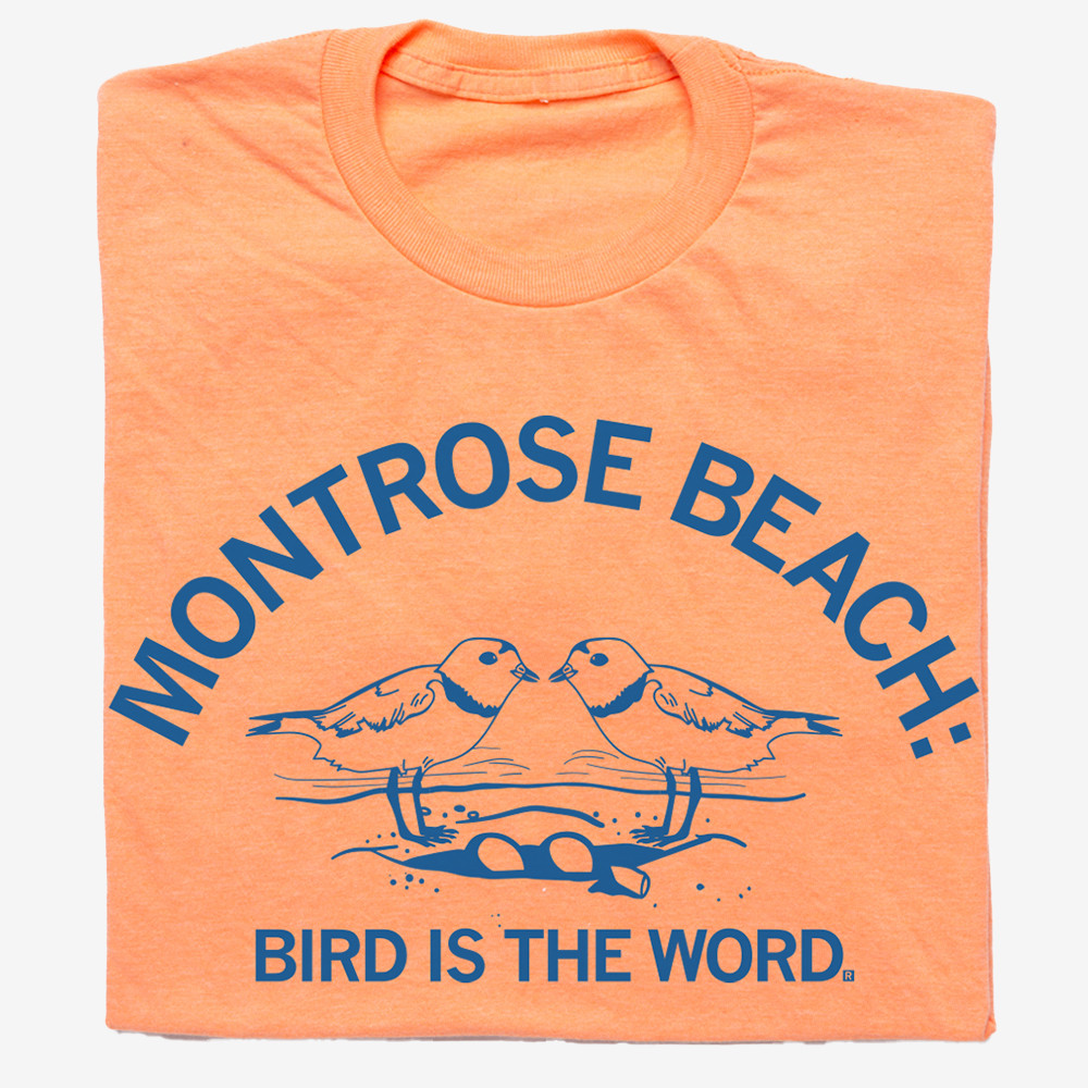Montrose Beach Bird Is The Word T-Shirt Animal Themed Shirt Gifts For Bird Lovers