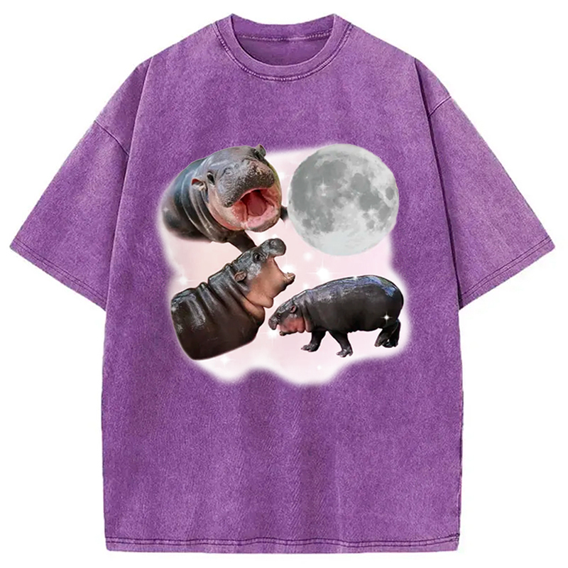 Moo Deng With The Moon Washed T-Shirt Everyday Comfort Graphic Shirt Gifts For Best Friend