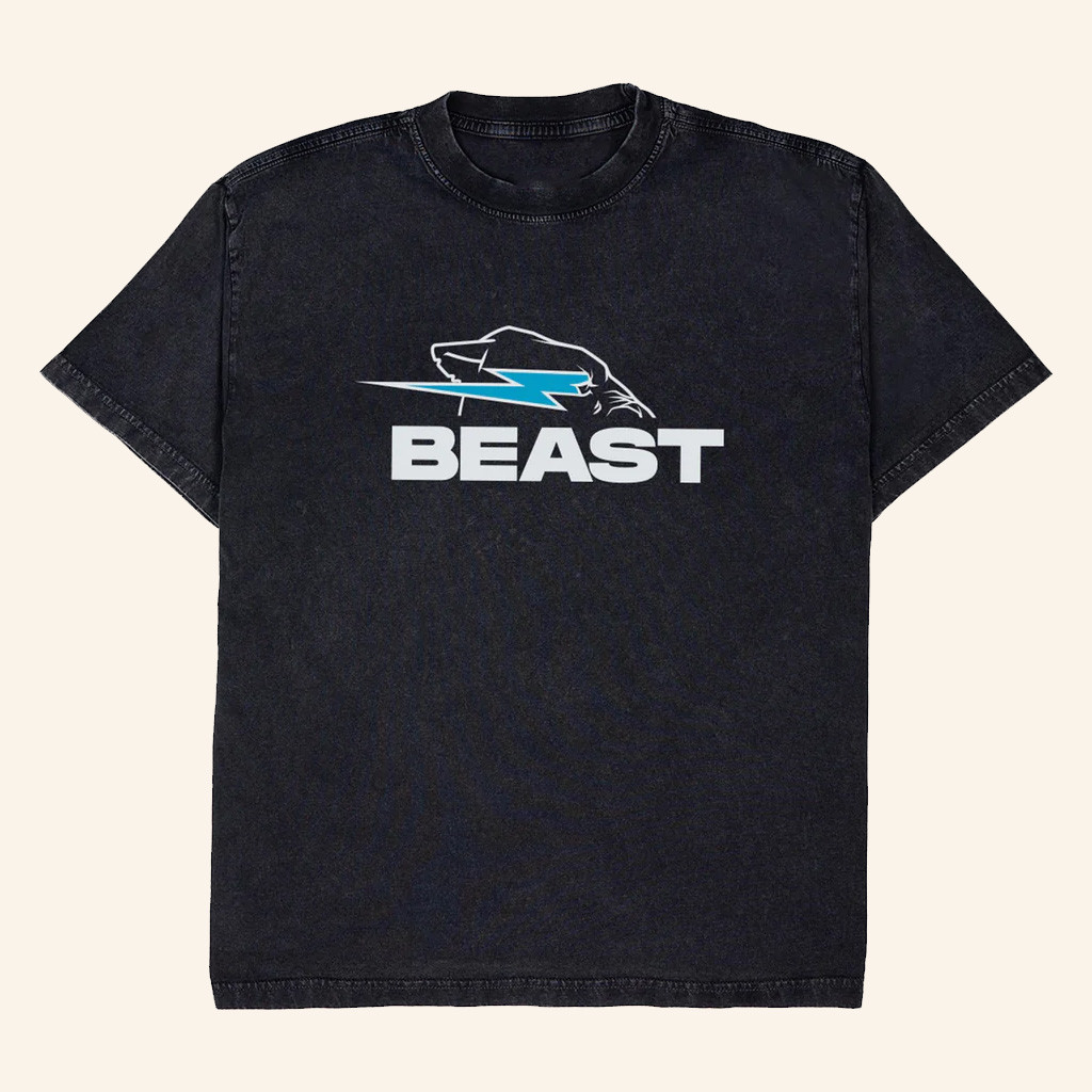 Mr Beast Merch Beast Originals 2 0 Wash T-Shirt Christmas Gifts For Boyfriend