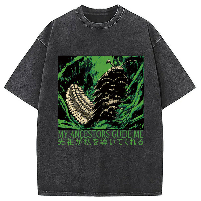 My Ancestors Guide Me Prehistoric Bug Washed T-Shirt Classic Graphic Fashion Tee Gifts For Brother