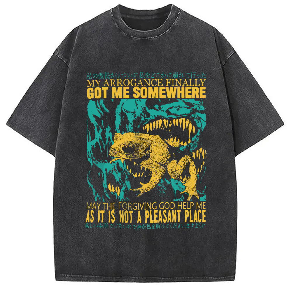 My Arrogance Vintage Japanese Frog Washed T-Shirt Cool Urban Street Style Shirt Gifts For Sister