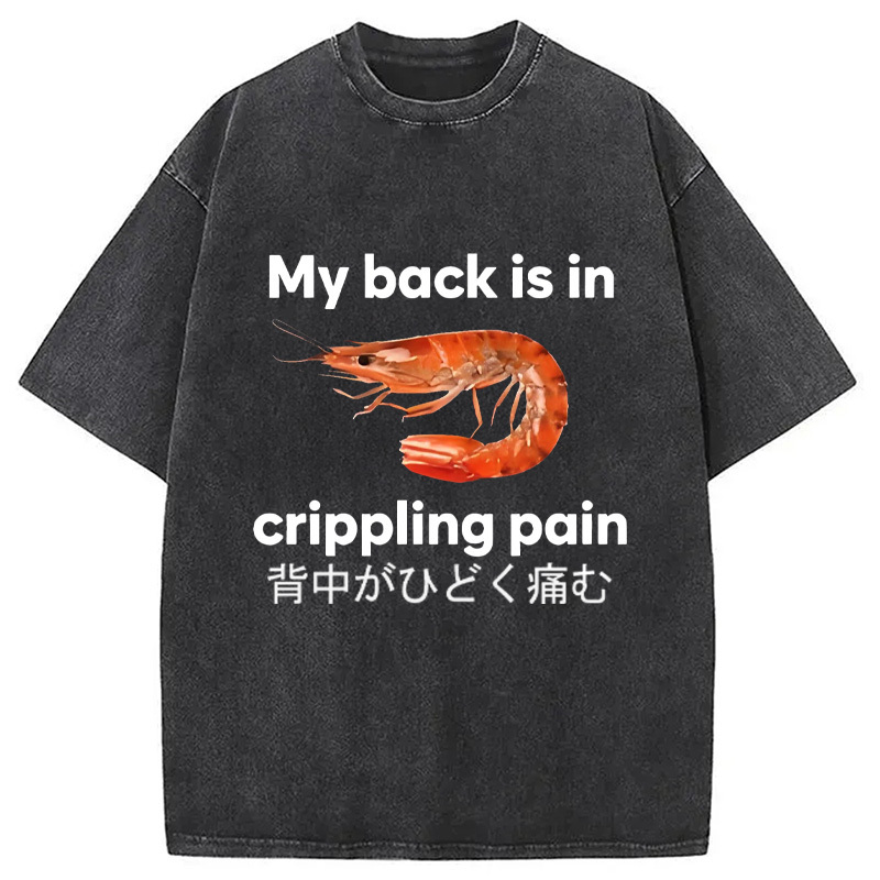 My Back Is in Crippling Pain Washed T-Shirt Soft Cotton Daily Wear Tee Gifts For Her