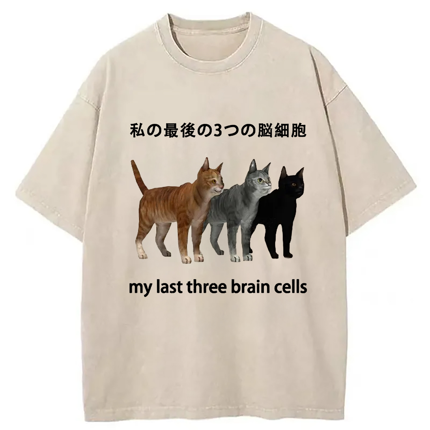 My Last Three Brain Cells Washed T-Shirt Unique Aesthetic Fashion Tee Gifts For Her