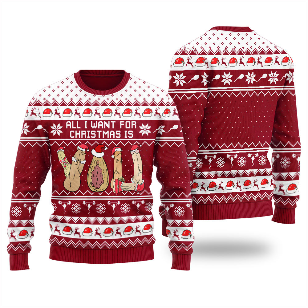 Naughty Gift For Christmas Mens Ugly Sweater Trending Christmas Merch Gift 2025 Collection